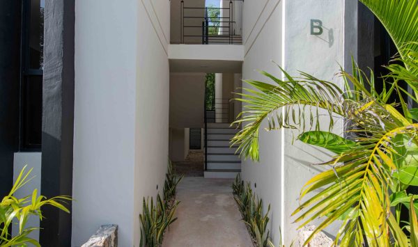 Concoord-Matalí-56-(1)